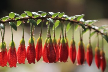 惠州惠阳区1私人快速借钱网，轻松解决资金难题