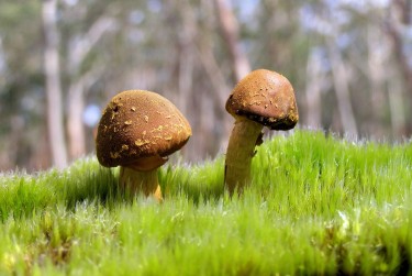 惠州惠阳区1私人老板放款：轻松融资的秘密通道